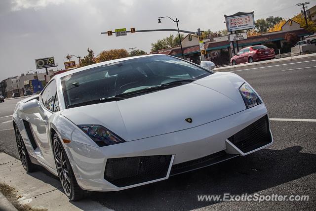 Lamborghini Gallardo spotted in Salt lake, Utah