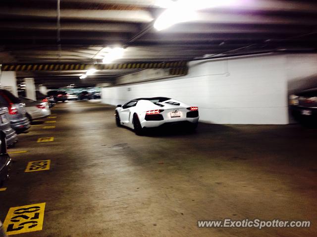 Lamborghini Aventador spotted in Houston, Texas