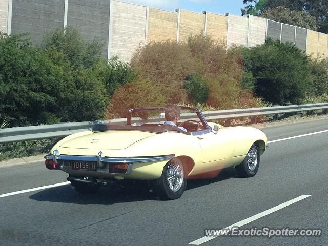 Jaguar E-Type spotted in Melbourne, Australia