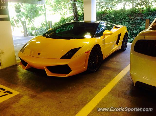 Lamborghini Gallardo spotted in Houston, Texas