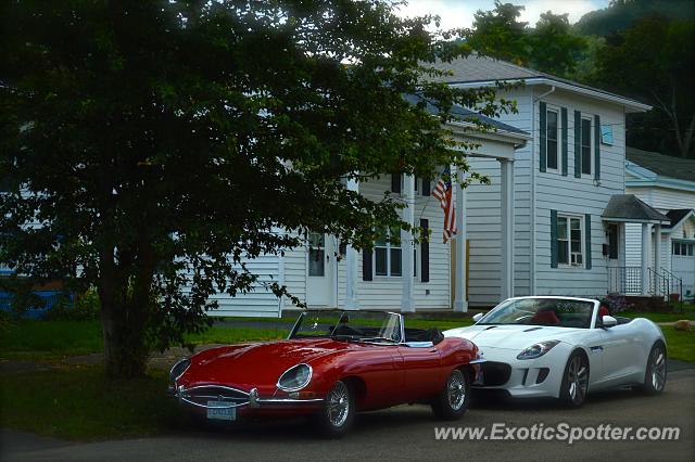 Jaguar E-Type spotted in Watkins Glen, New York