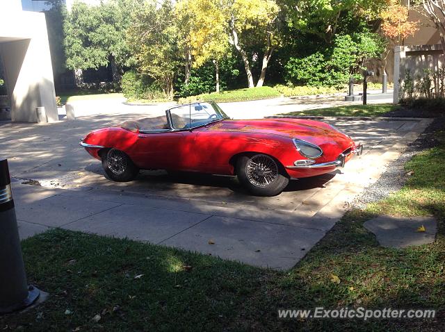 Jaguar E-Type spotted in Houston, Texas