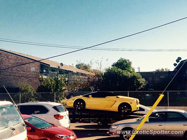 Lamborghini Gallardo spotted in Houston, Texas