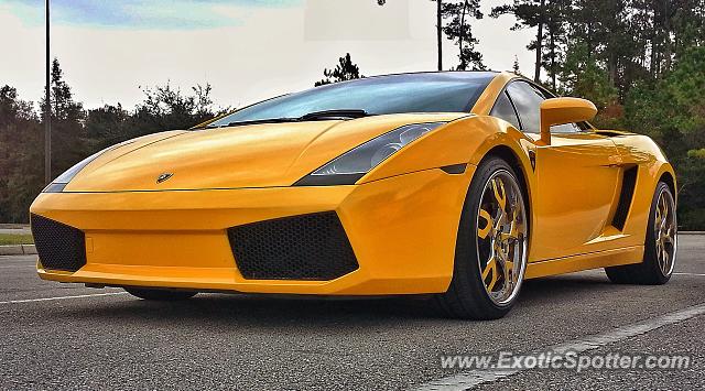 Lamborghini Gallardo spotted in Jacksonville, Florida