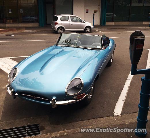 Jaguar E-Type spotted in Blenheim, New Zealand