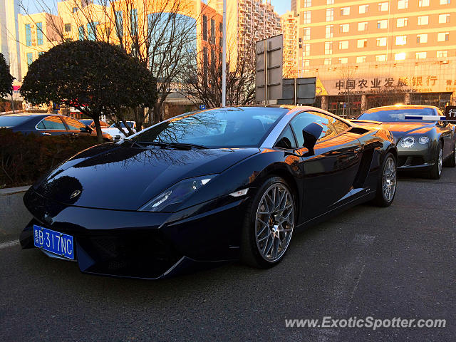 Lamborghini Gallardo spotted in Qingdao, China