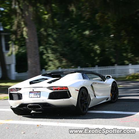 Lamborghini Aventador spotted in Longmeadow, Massachusetts