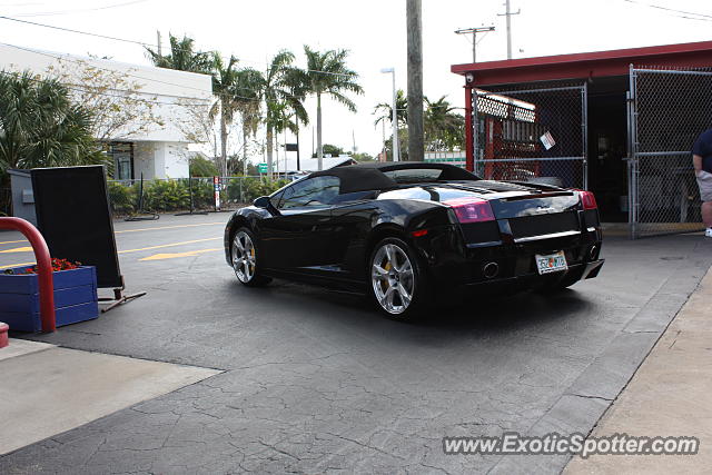 Lamborghini Gallardo spotted in West Palm Beach, Florida