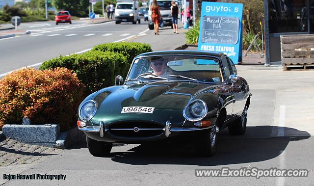 Jaguar E-Type spotted in Blenheim, New Zealand