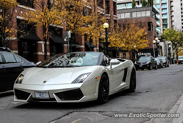 Lamborghini Gallardo spotted in Toronto, Canada