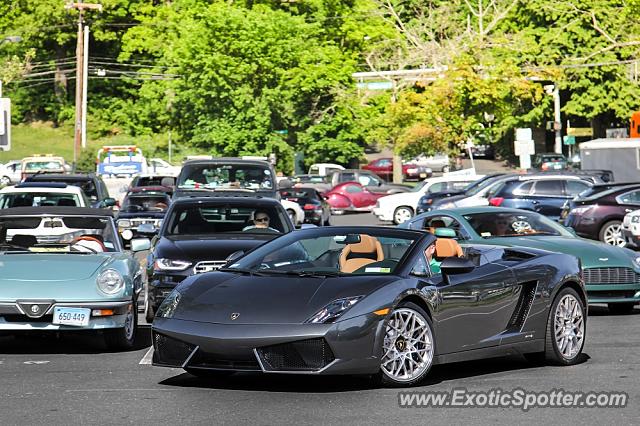 Lamborghini Gallardo spotted in Greenwich, Connecticut