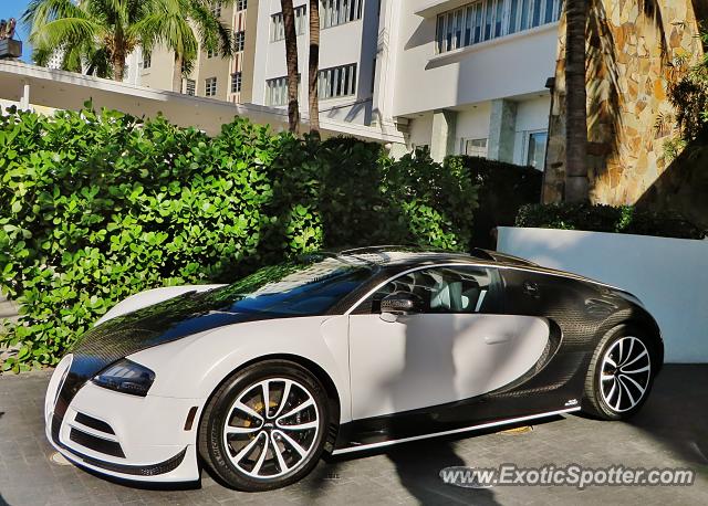 Bugatti Veyron spotted in Miami, Florida