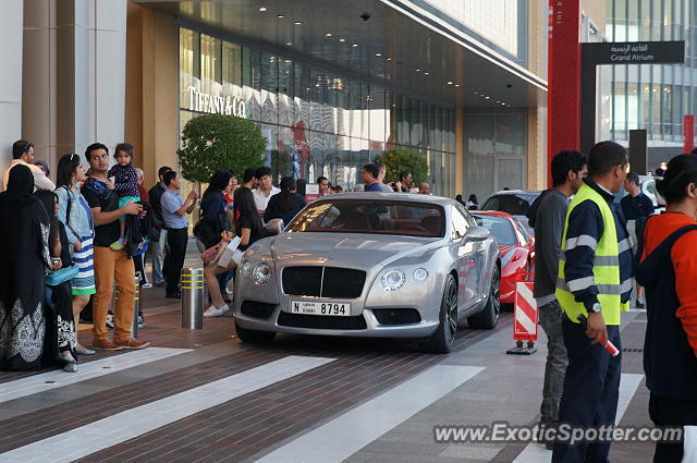 Bentley Continental spotted in Dubai, United Arab Emirates