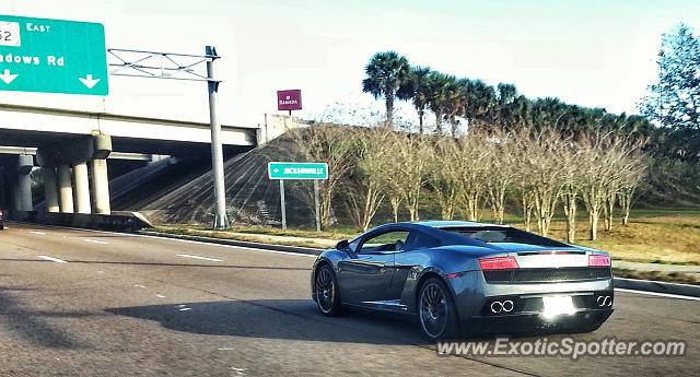 Lamborghini Gallardo spotted in Jacksonville, Florida