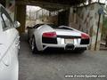 Lamborghini Murcielago
