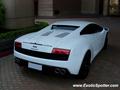 Lamborghini Gallardo