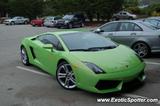Lamborghini Gallardo