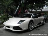 Lamborghini Murcielago