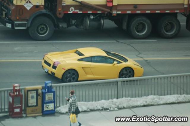 Lamborghini Gallardo spotted in Toronto, Canada