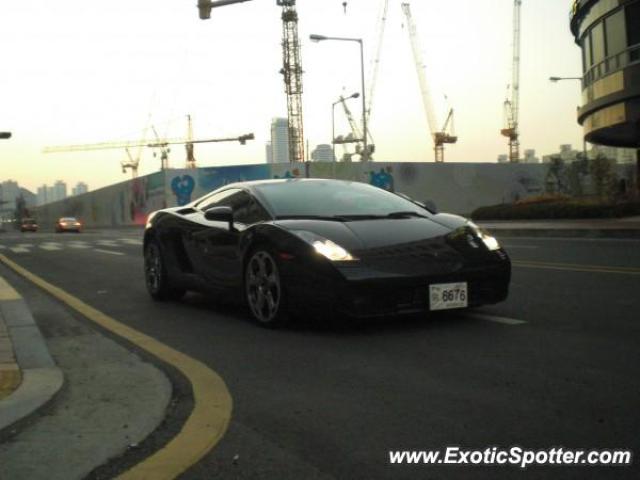 Lamborghini Gallardo spotted in Busan, South Korea