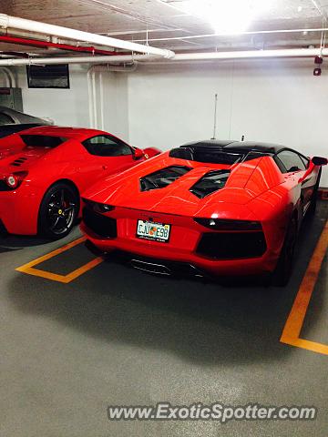 Lamborghini Aventador spotted in Miami Beach, Florida