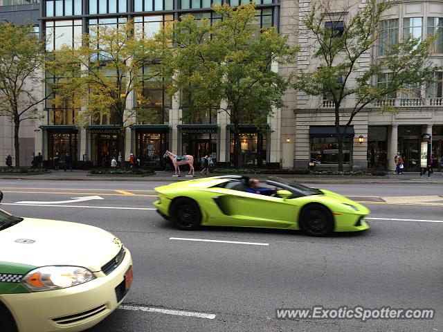 Lamborghini Aventador spotted in Chicago, Illinois