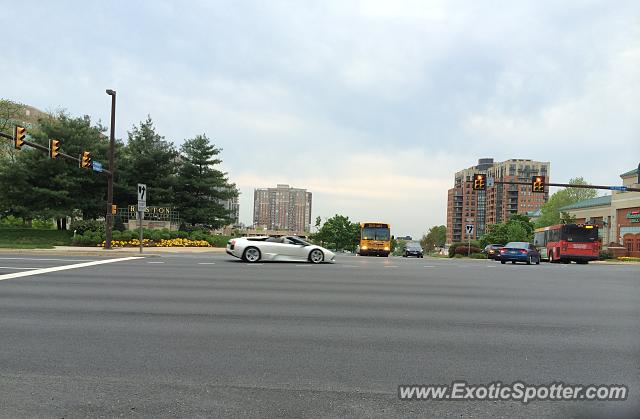 Lamborghini Murcielago spotted in Reston, Virginia