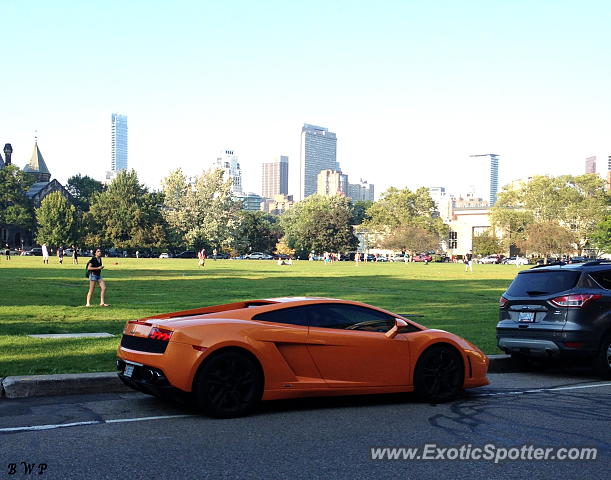 Lamborghini Gallardo spotted in Toronto, Canada