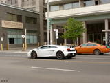 Lamborghini Gallardo