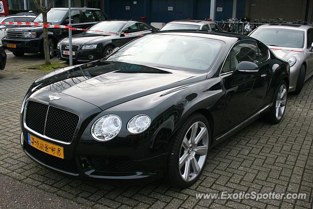 Bentley Continental spotted in Maastricht, Netherlands