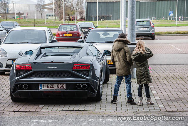 Lamborghini Gallardo spotted in Terneuzen, Netherlands