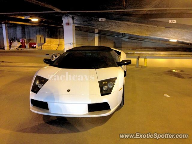 Lamborghini Murcielago spotted in Cleveland, Ohio