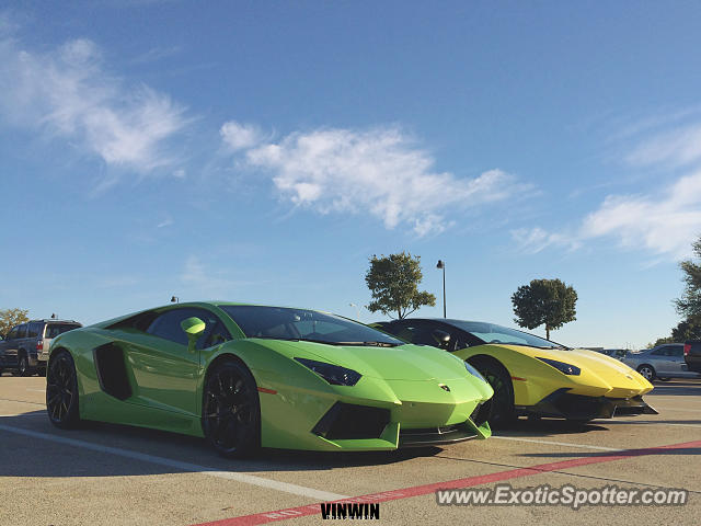 Lamborghini Aventador spotted in Dallas, Texas