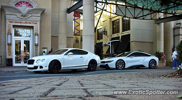 Bentley Continental spotted in Charlotte, North Carolina