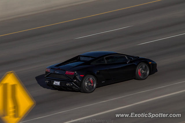 Lamborghini Gallardo spotted in Denver, Colorado