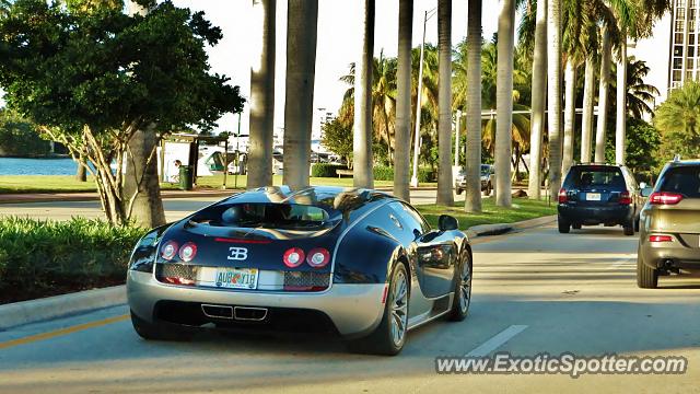 Bugatti Veyron spotted in Miami, Florida