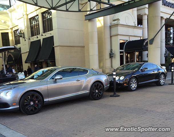 Bentley Continental spotted in Charlotte, North Carolina