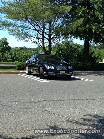 Bentley Continental spotted in Freehold, New Jersey