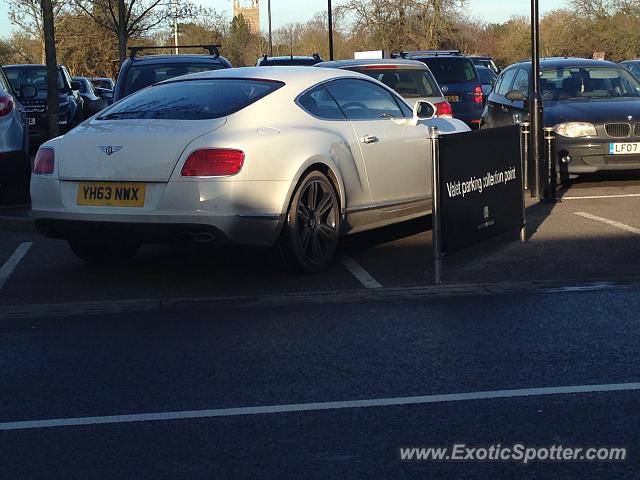 Bentley Continental spotted in Bicester, United Kingdom