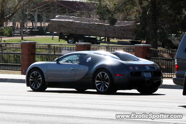 Bugatti Veyron spotted in Scottsdale, Arizona