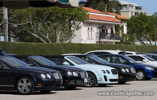 Bentley Continental spotted in Palm Beach, Florida