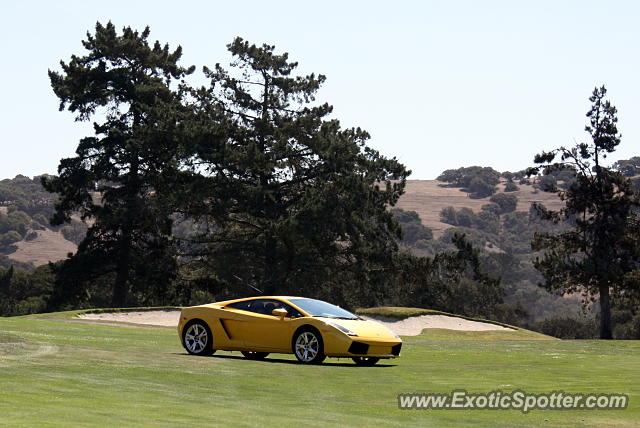 Lamborghini Gallardo spotted in Monterey, California