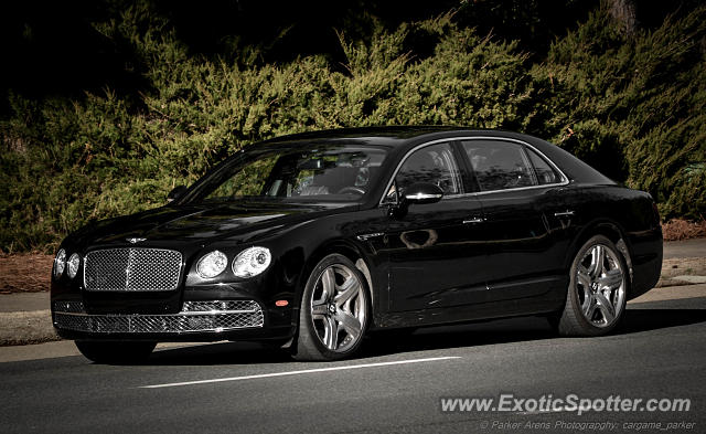 Bentley Continental spotted in Cornelius, North Carolina