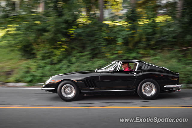 Ferrari 275 spotted in Watkins Glen, New York