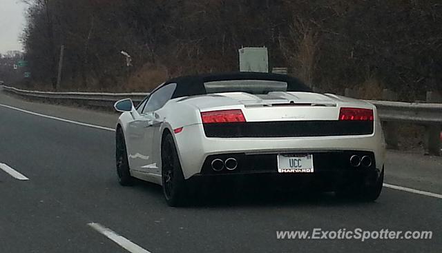 Lamborghini Gallardo spotted in Toronto, Canada