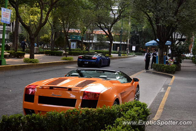 Lamborghini Gallardo spotted in Mexico City, Mexico