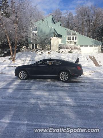 Bentley Continental spotted in Okemos, Michigan