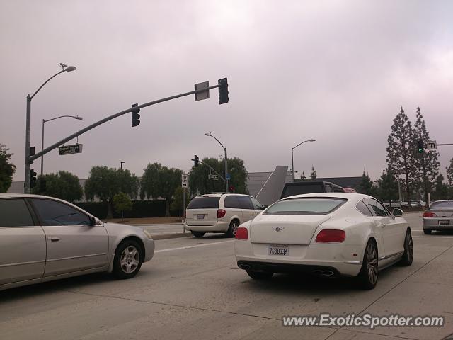 Bentley Continental spotted in Walnut, California