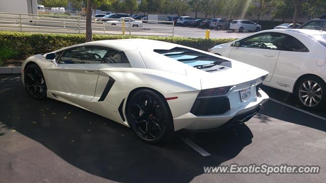 Lamborghini Aventador spotted in City of Industry, California