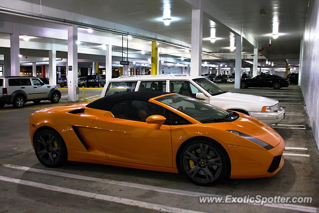 Lamborghini Gallardo spotted in Tyson's Corner, Virginia